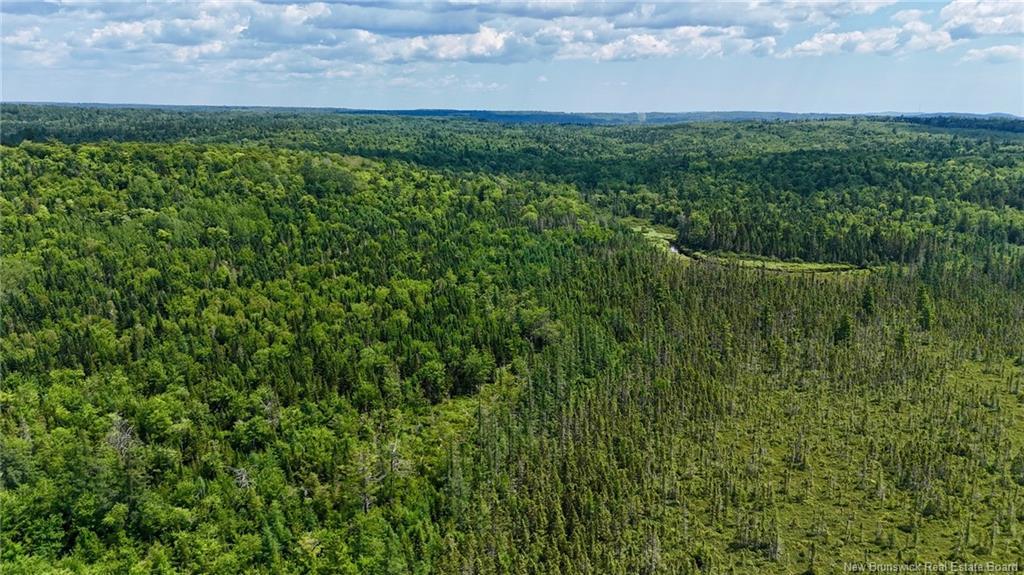 00 740 Rte, Basswood Ridge, NB
