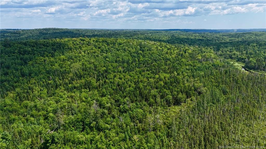 00 740 Rte, Basswood Ridge, NB