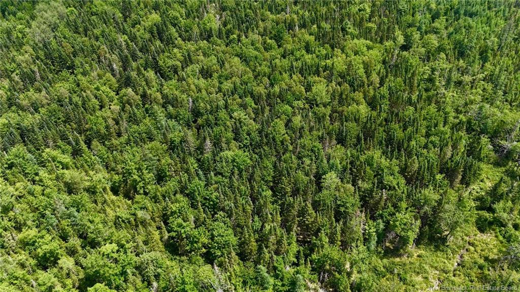 00 740 Rte, Basswood Ridge, NB