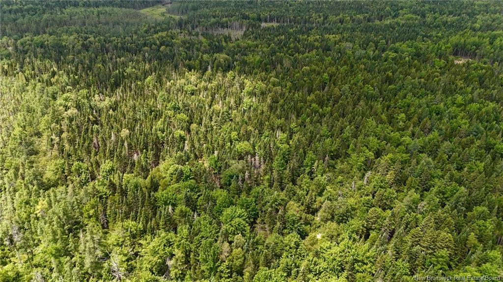 00 740 Rte, Basswood Ridge, NB