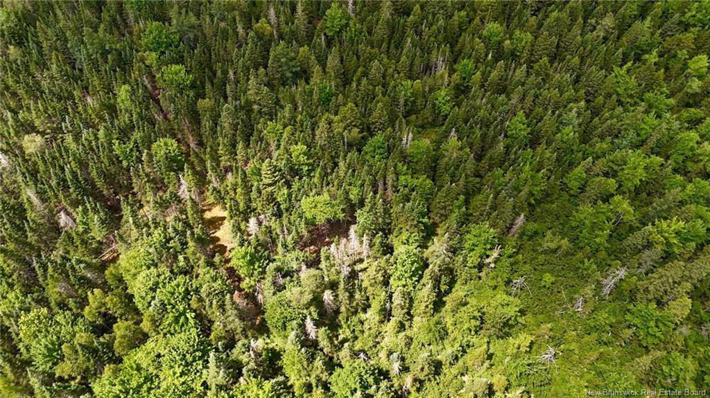 00 740 Rte, Basswood Ridge, NB