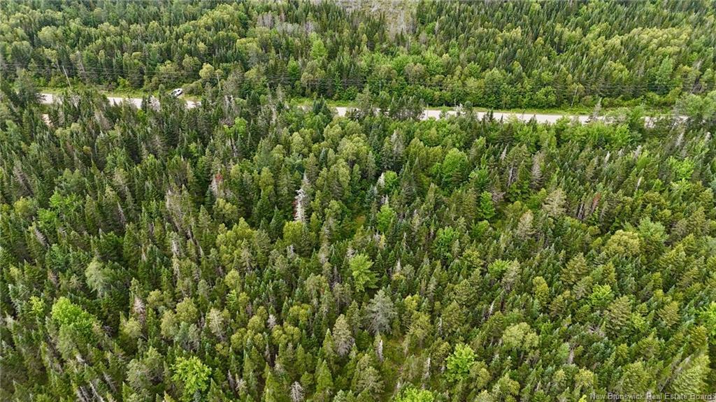 00 740 Rte, Basswood Ridge, NB