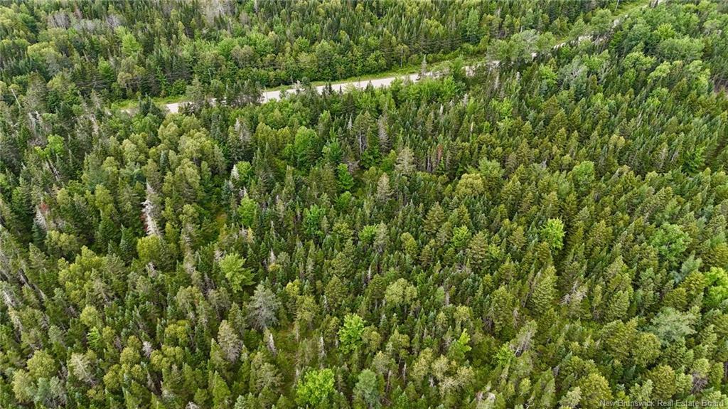 00 740 Rte, Basswood Ridge, NB