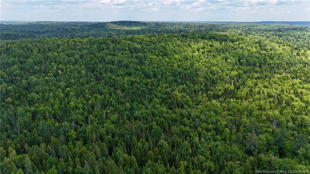 00 740 Rte, Basswood Ridge, NB