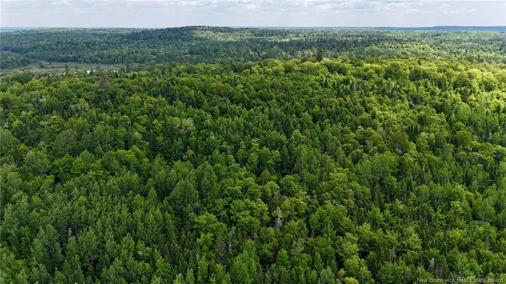 00 740 Rte, Basswood Ridge, NB