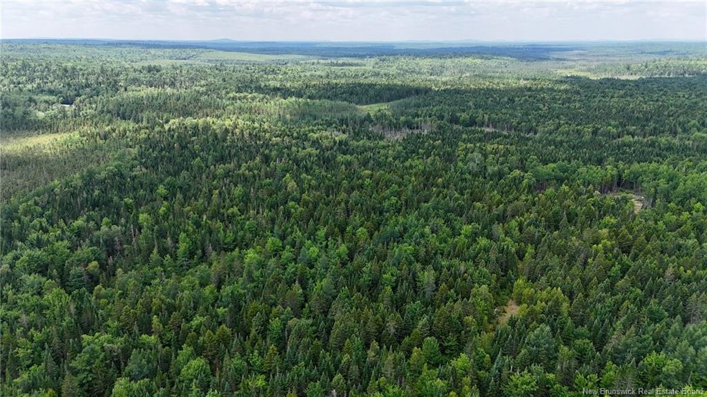 00 740 Rte, Basswood Ridge, NB