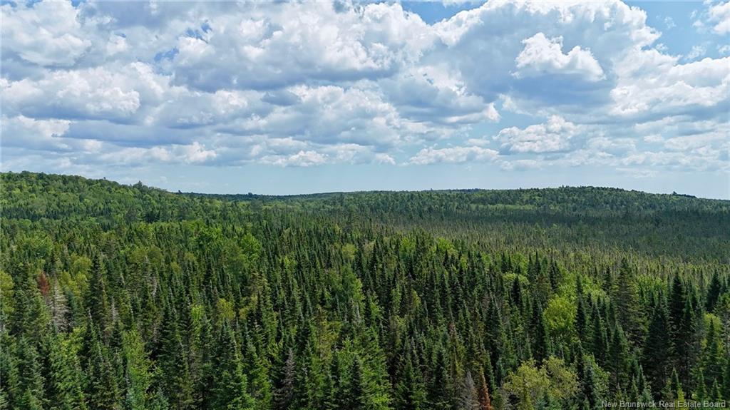 00 740 Rte, Basswood Ridge, NB