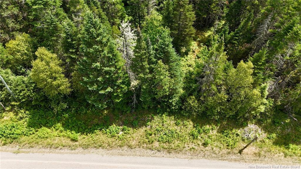 00 740 Rte, Basswood Ridge, NB