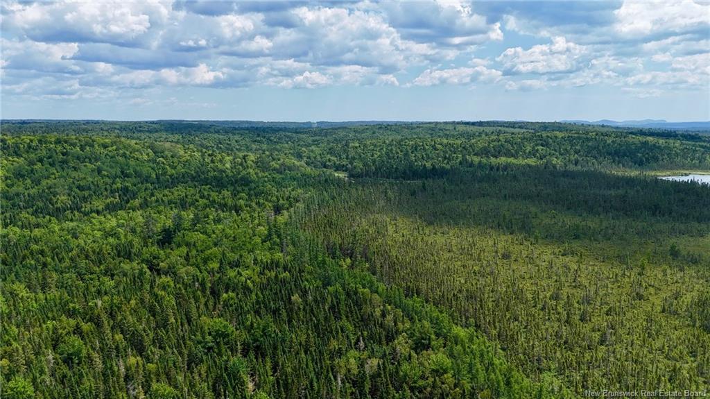 00 740 Rte, Basswood Ridge, NB