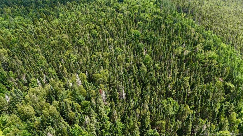 00 740 Rte, Basswood Ridge, NB