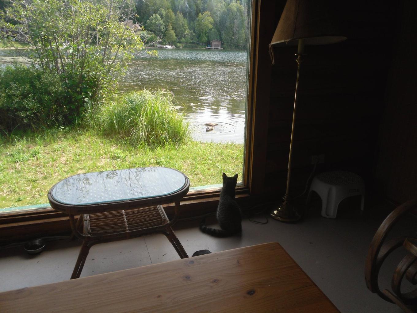 Intérieur - 25 Ch. St-Jacques, Messines, QC -