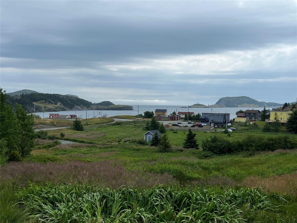 0 Local Road, Trinity East, NL