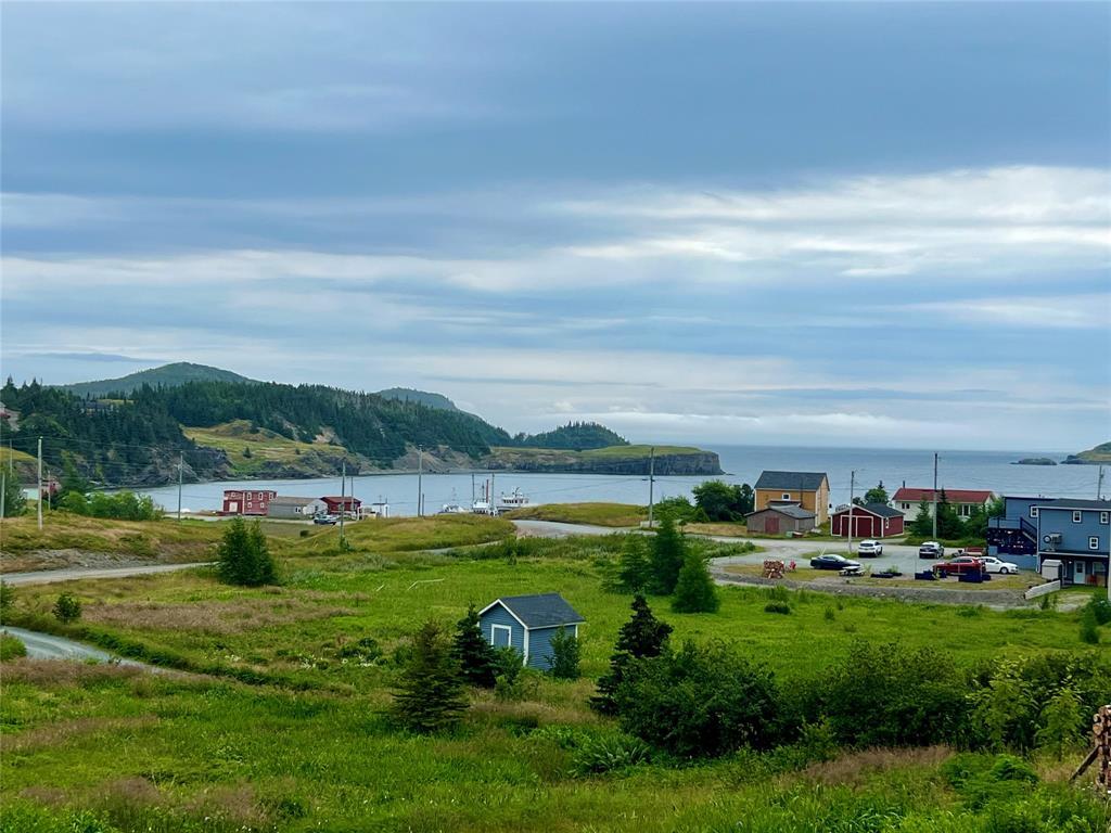 0 Local Road, Trinity East, NL