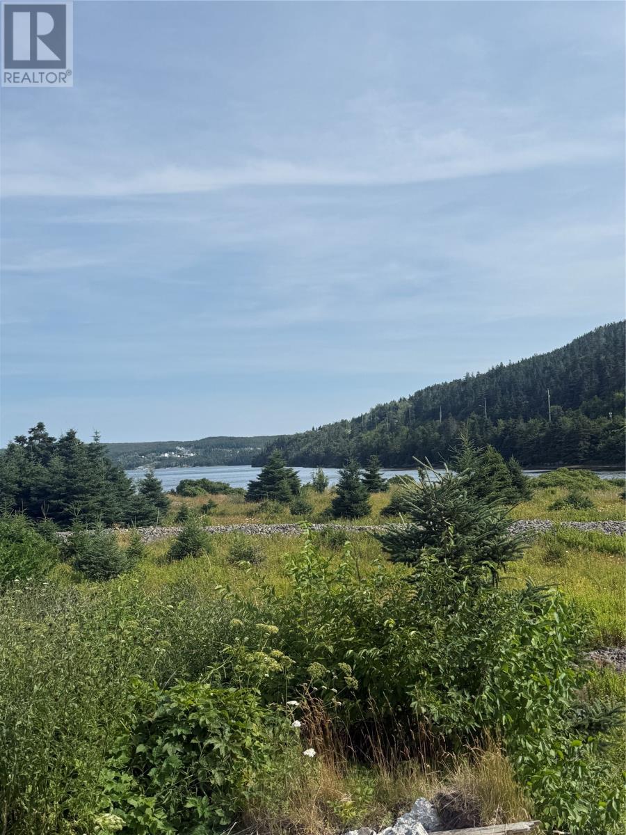 14-16 Tunis Street, Placentia, NL