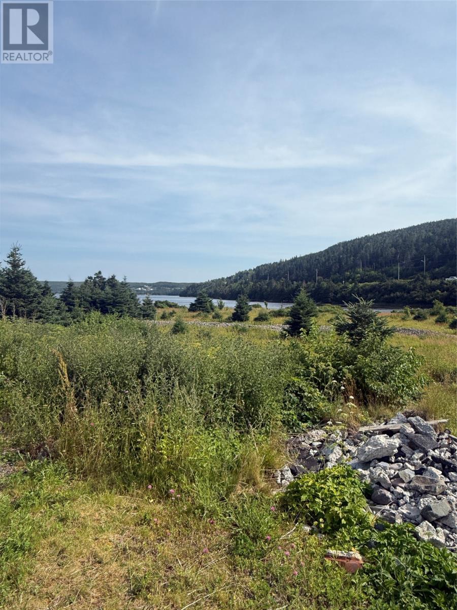 14-16 Tunis Street, Placentia, NL