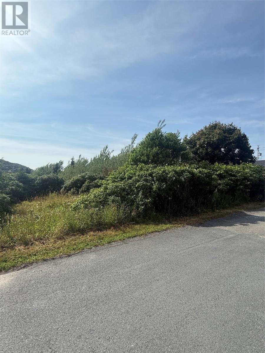 6-8 Tunis Street, Placentia, NL