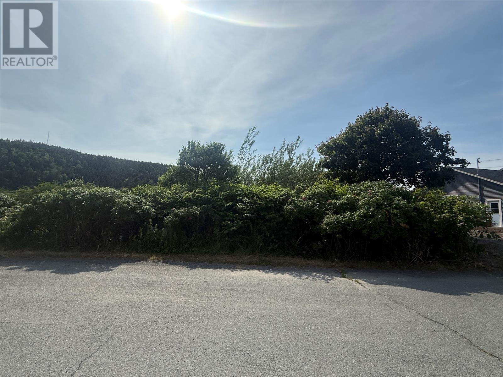 6-8 Tunis Street, Placentia, NL