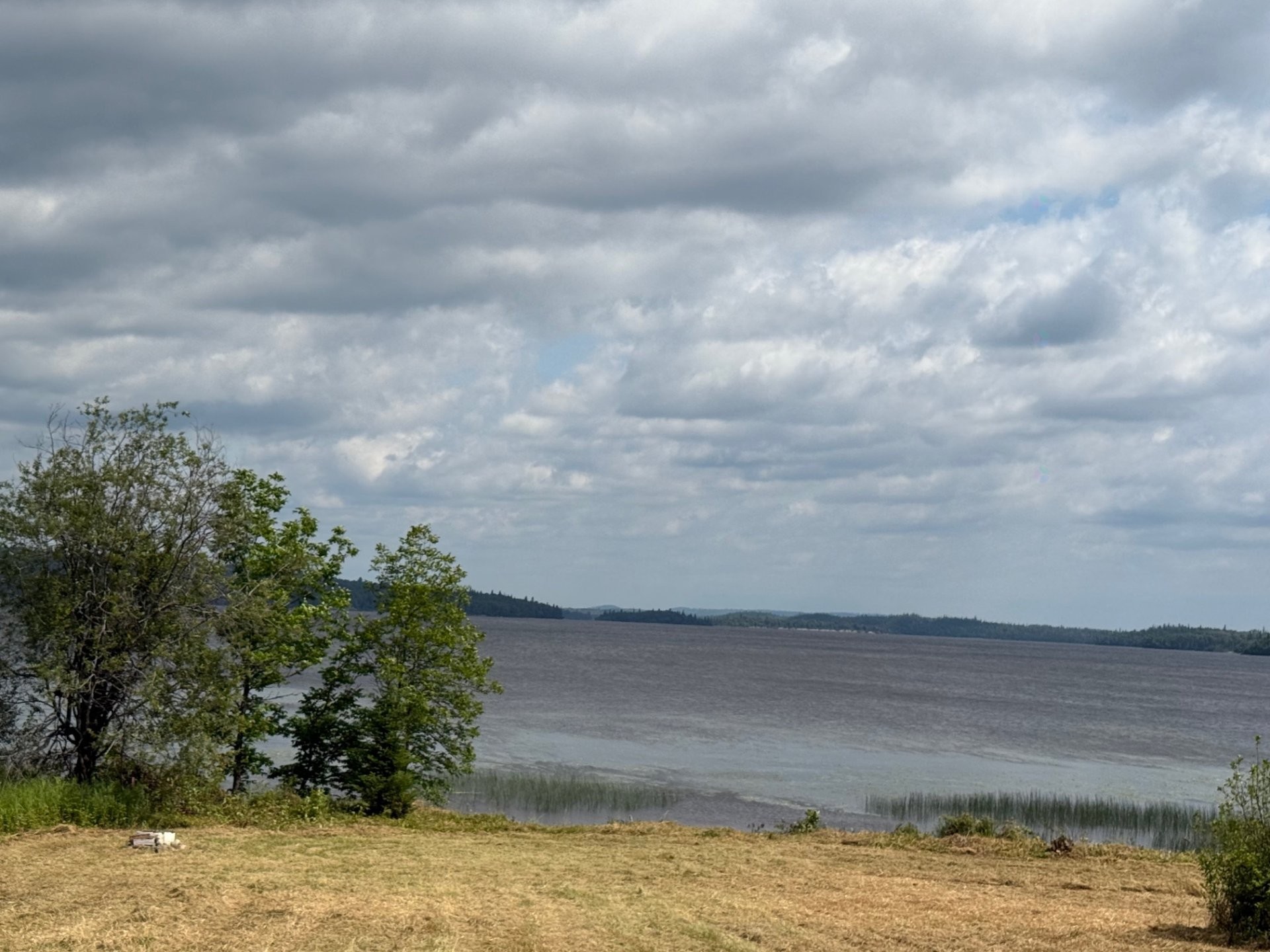 Terre/Terrain - Ch. Du Petit N.-E., Moffet, QC