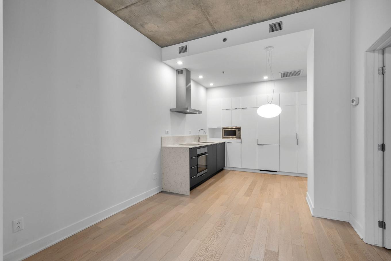 Vue d'ensemble - 116-700 Rue St-Paul O., Montréal (Ville-Marie), QC - Indoor