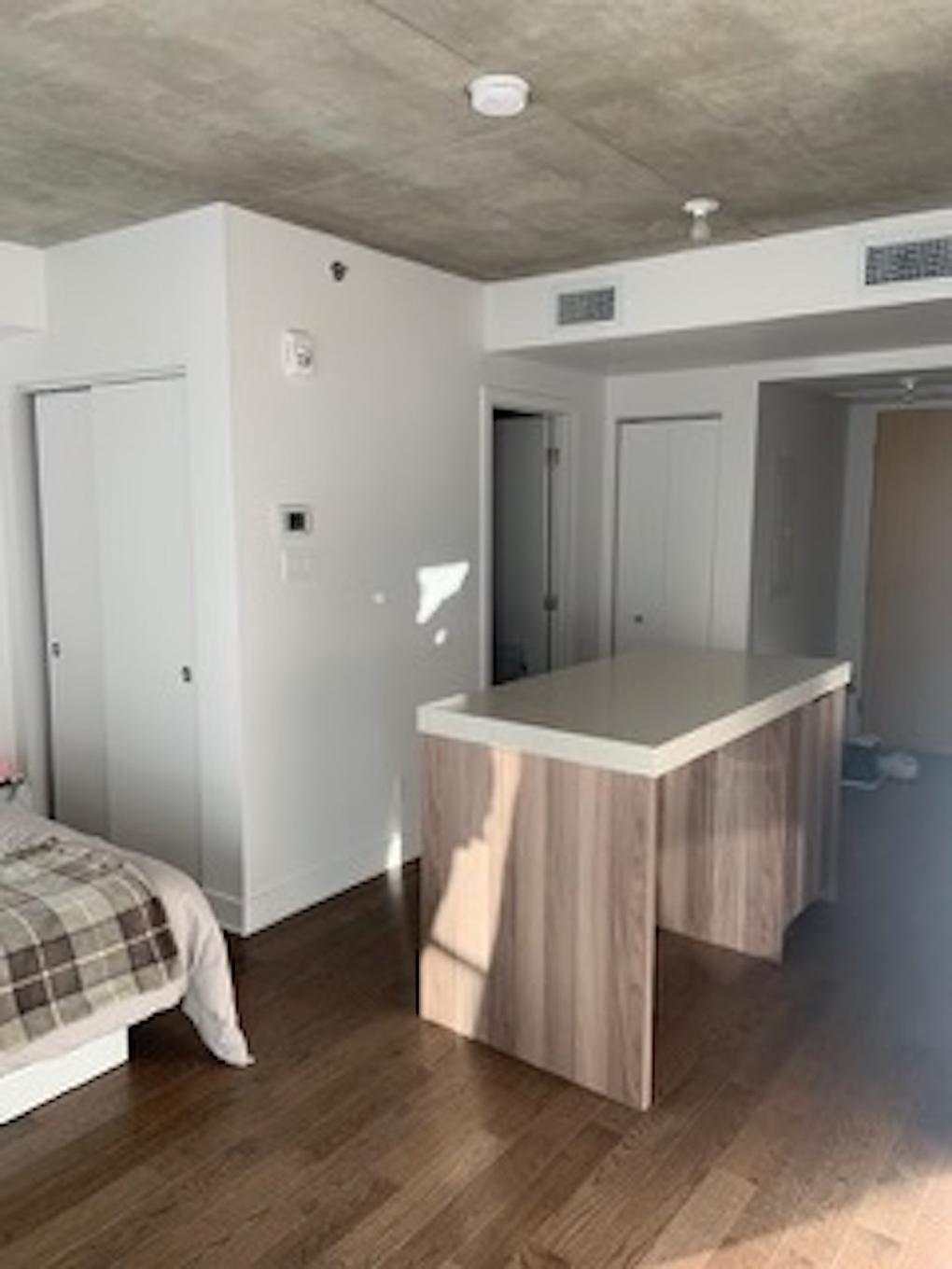 Vue d'ensemble - 1559-101 Rue Peel, Montréal (Le Sud-Ouest), QC - Indoor