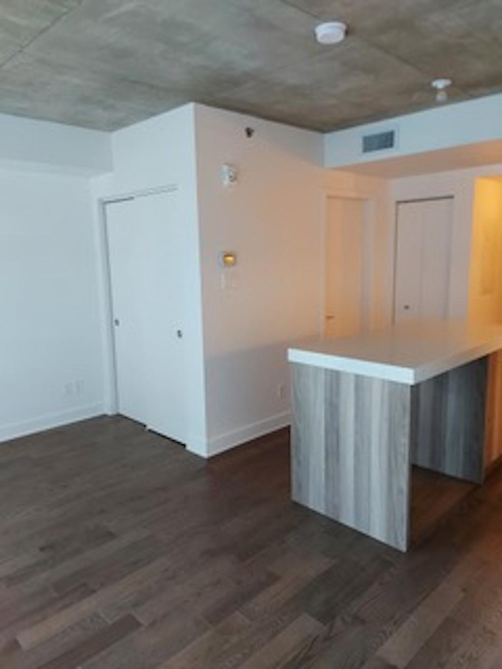 Vue d'ensemble - 1559-101 Rue Peel, Montréal (Le Sud-Ouest), QC - Indoor Photo Showing Other Room