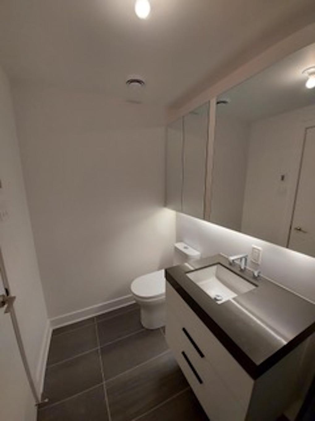 Salle de bains - 1559-101 Rue Peel, Montréal (Le Sud-Ouest), QC - Indoor Photo Showing Bathroom