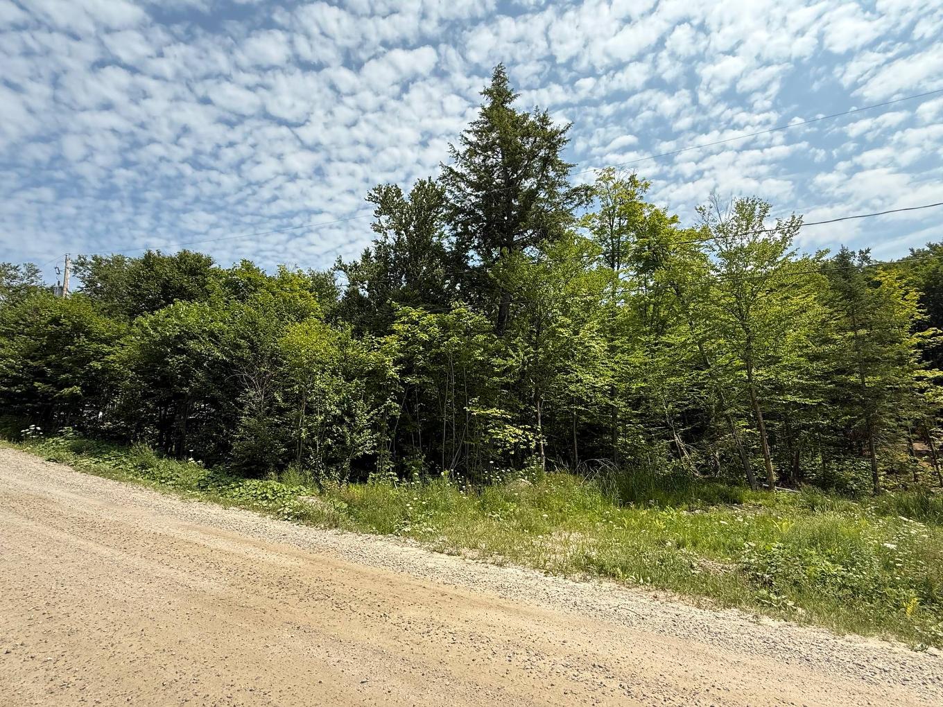 Façade - 44 Mtée Des Chevaliers, Val-Des-Monts, QC