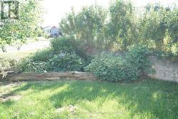 Side Yard Perennials -