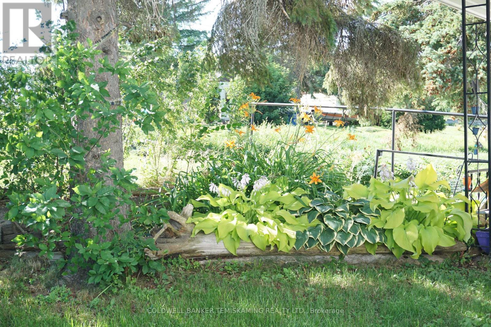 Perennials - 293 Meridian Avenue, Temiskaming Shores (Haileybury), ON - Outdoor