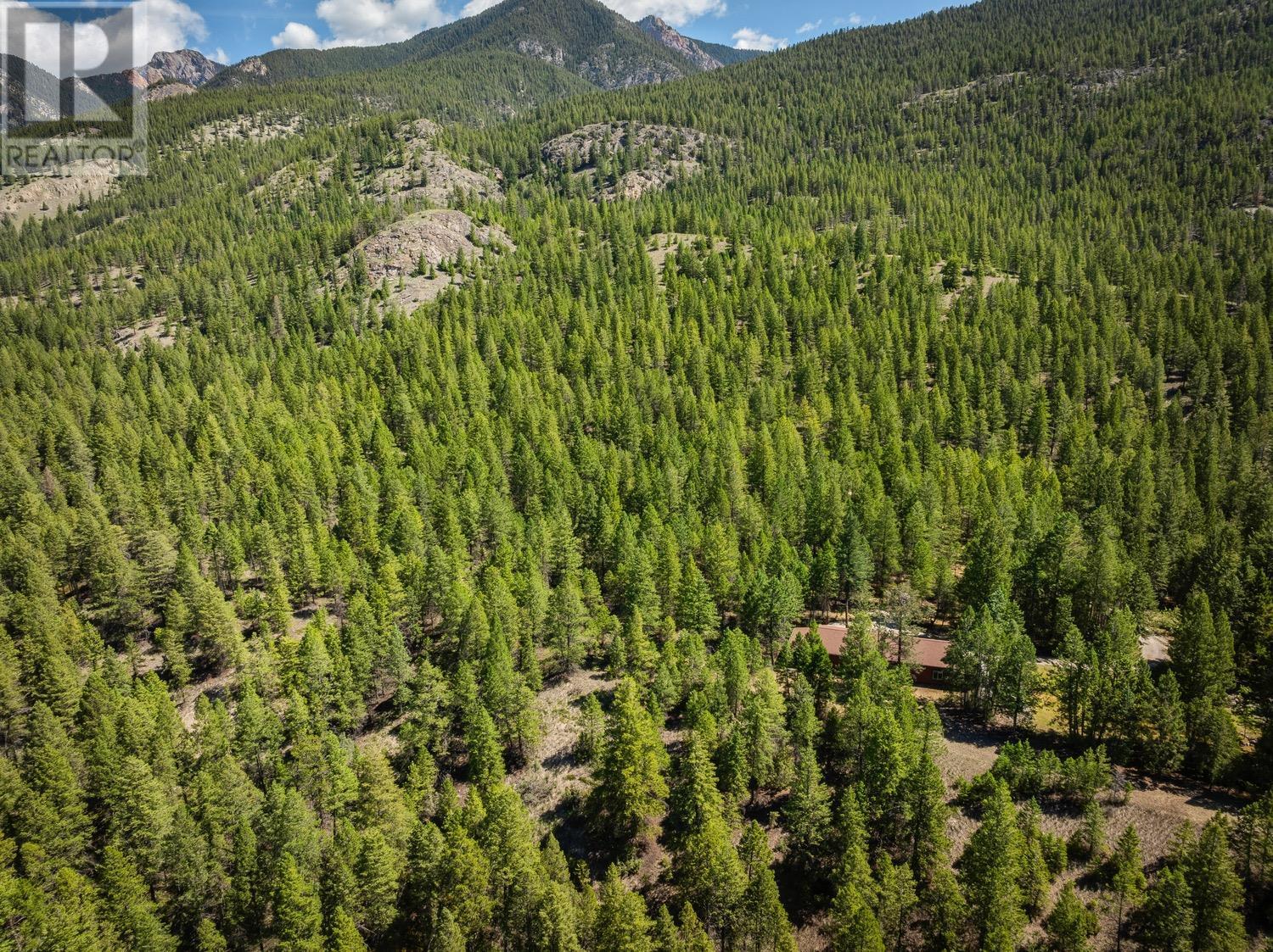 8566 Eacrett Road, Dry Gulch, BC - Outdoor With View