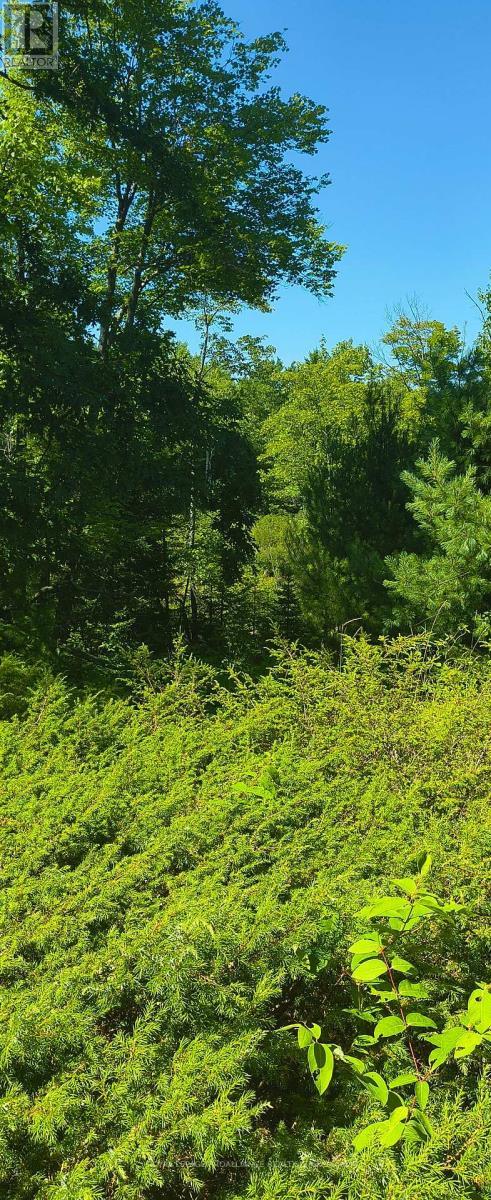 0000 Highway 7, Addington Highlands (Addington Highlands), ON