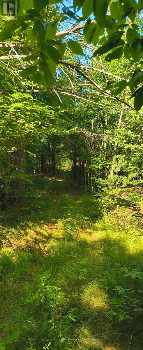 0000 Highway 7, Addington Highlands (Addington Highlands), ON