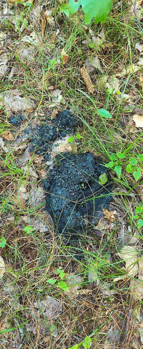 0000 Highway 7, Addington Highlands (Addington Highlands), ON