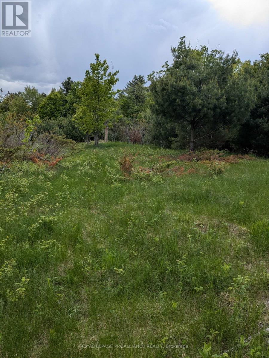 0000 Highway 7, Addington Highlands (Addington Highlands), ON