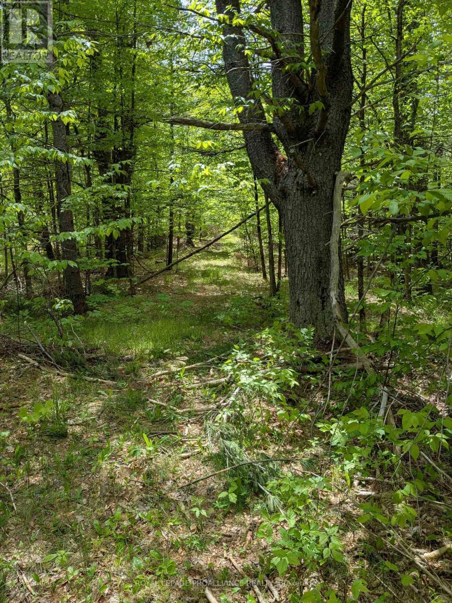 0000 Highway 7, Addington Highlands (Addington Highlands), ON