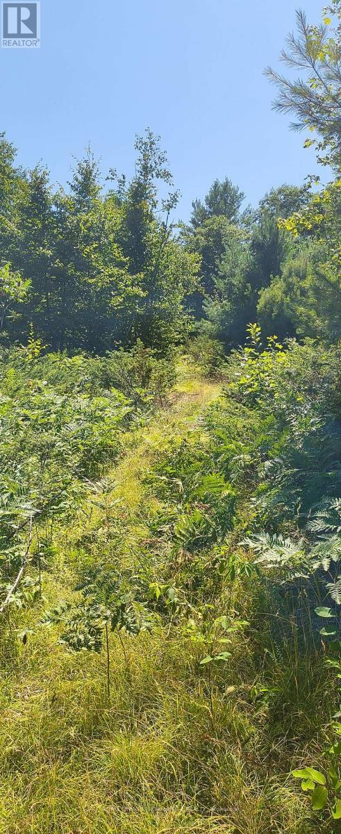 0000 Highway 7, Addington Highlands (Addington Highlands), ON