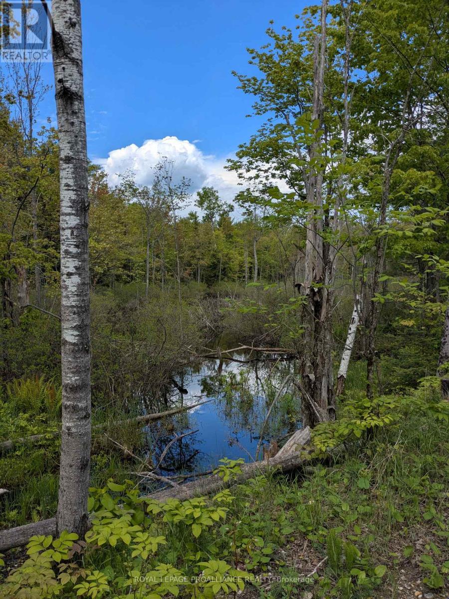 0000 Highway 7, Addington Highlands (Addington Highlands), ON