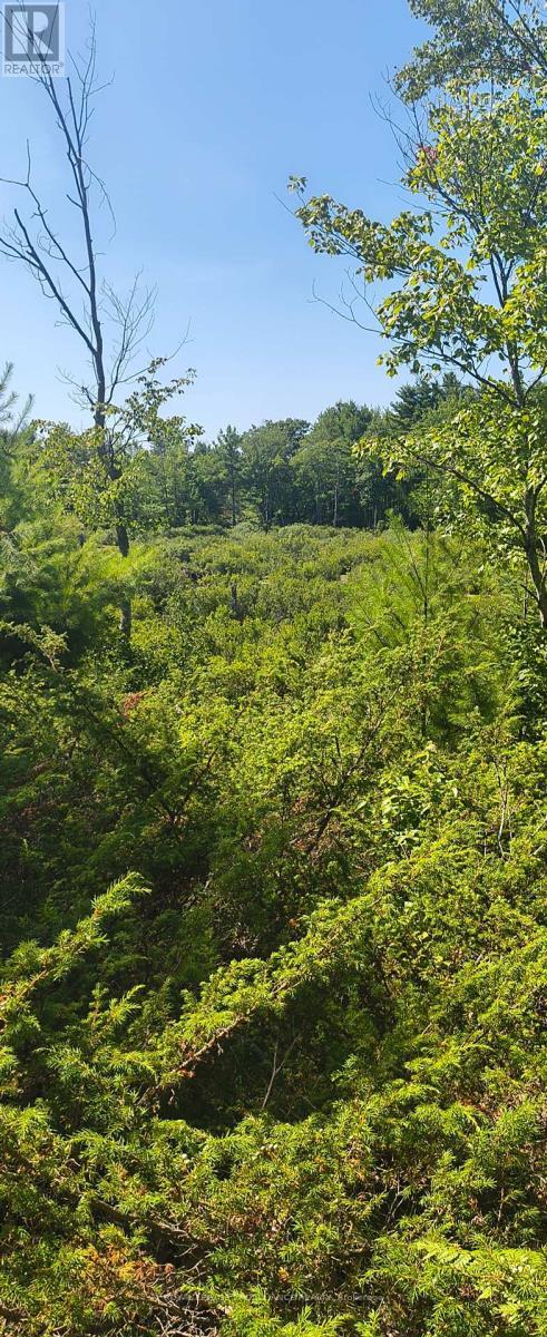 0000 Highway 7, Addington Highlands (Addington Highlands), ON