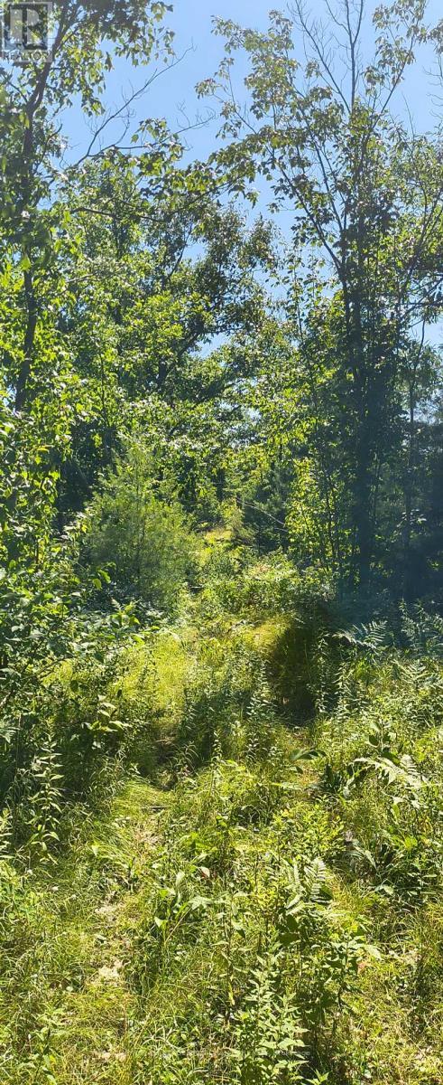 0000 Highway 7, Addington Highlands (Addington Highlands), ON