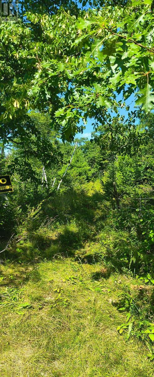 0000 Highway 7, Addington Highlands (Addington Highlands), ON