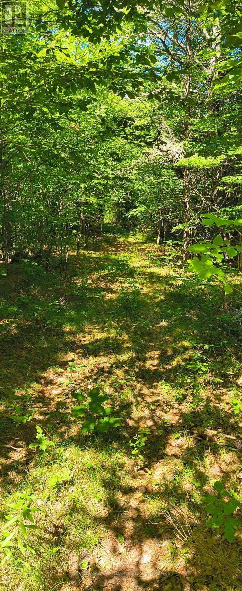 0000 Highway 7, Addington Highlands (Addington Highlands), ON