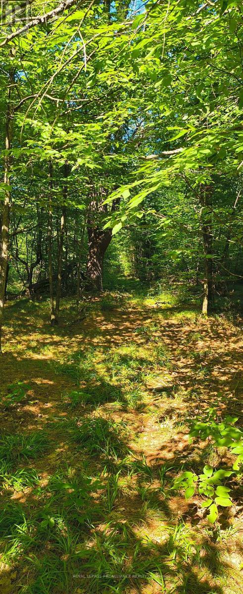 0000 Highway 7, Addington Highlands (Addington Highlands), ON