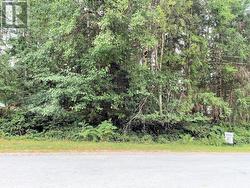 Lot 5 LEAPER ROAD Texada Island, BC V0N 1W0