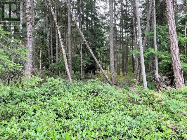 Lot 5 Leaper Road, Texada Island, BC