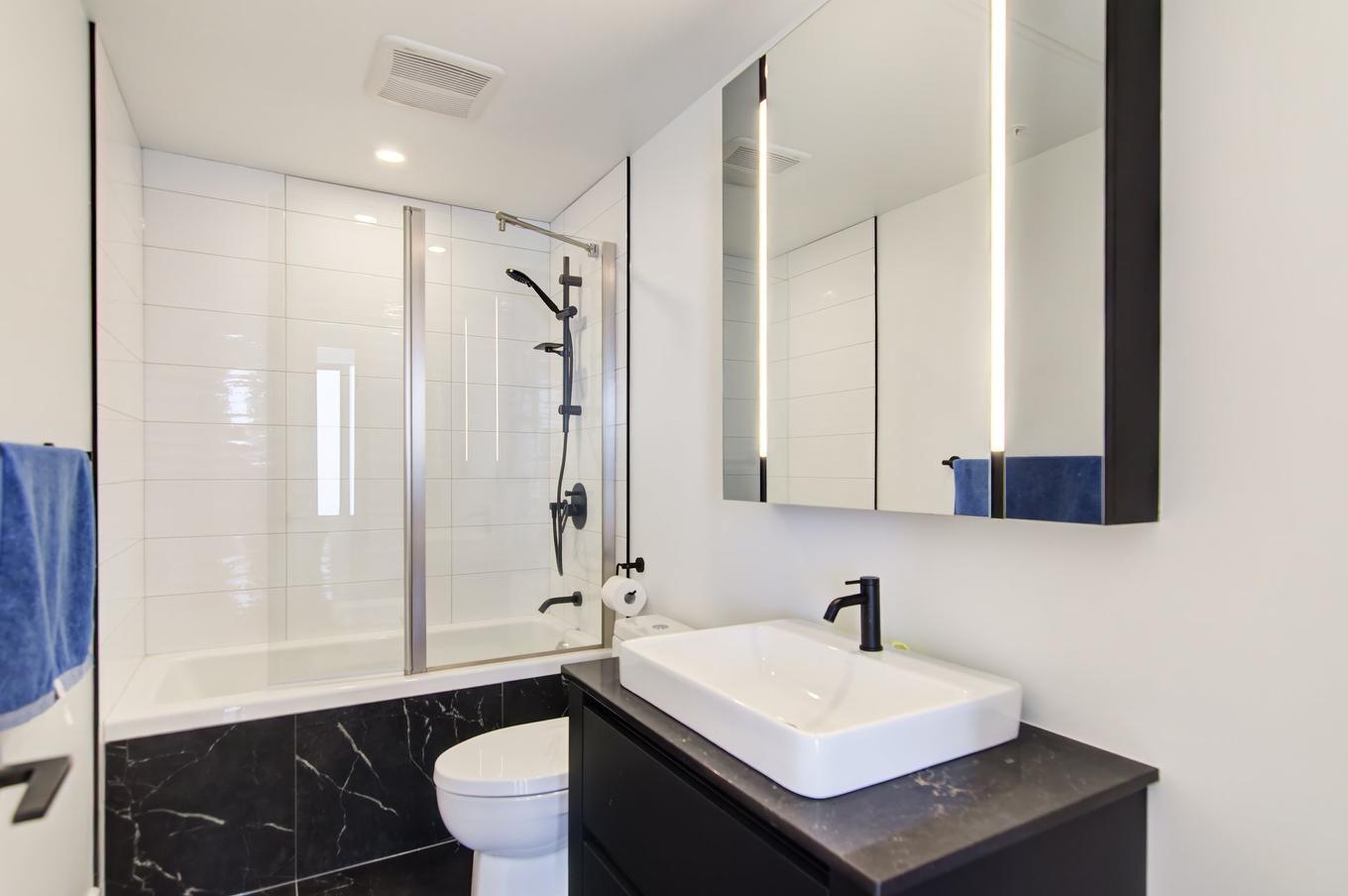 Bathroom - 4702-720 Rue St-Jacques, Montréal (Ville-Marie), QC - Indoor Photo Showing Bathroom