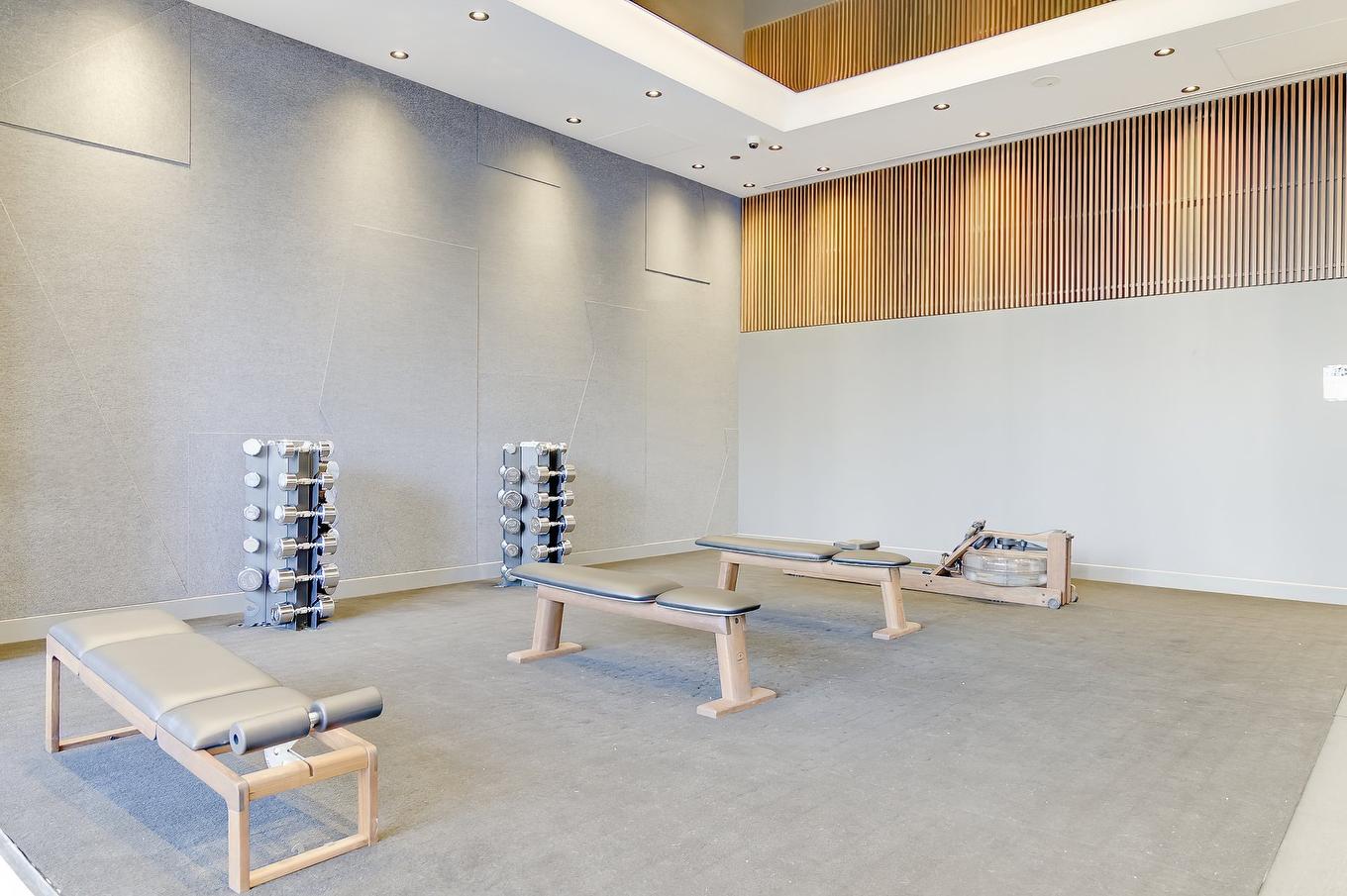 Exercise room - 4702-720 Rue St-Jacques, Montréal (Ville-Marie), QC - Indoor Photo Showing Other Room