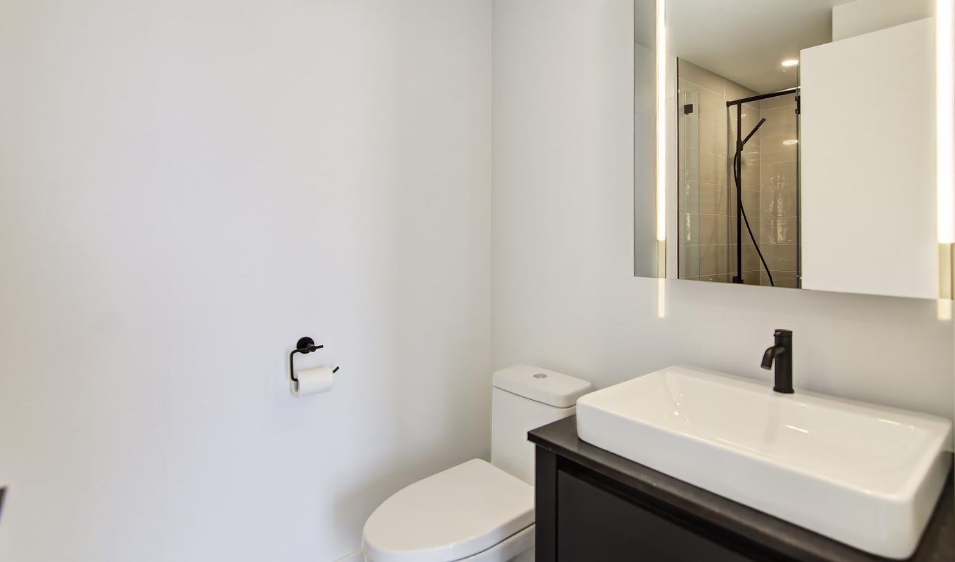 Ensuite bathroom - 4702-720 Rue St-Jacques, Montréal (Ville-Marie), QC - Indoor Photo Showing Bathroom