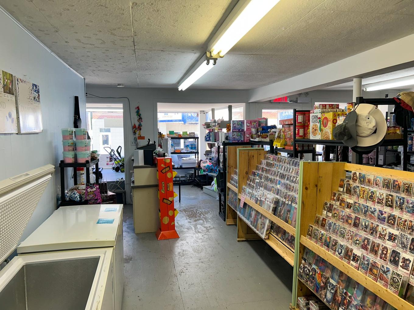 Interior - 301 Rue St-Marcel, Drummondville, QC - Indoor Photo Showing Garage