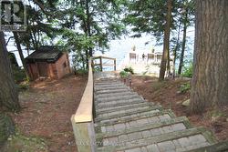 Stairs to Dock -