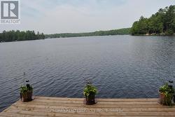 Lake From Dock -